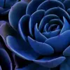 sherrillwilliams06 - @sherrillwilliams06 - TikTok