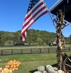 Sharron Davis - Facebook