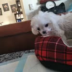 Sherron Wilson - @sherronwilson6 - Instagram
