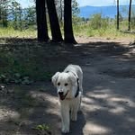 Sherry Abbott - @sherrylynnabbott - Instagram