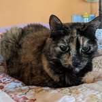 Sherry Abbott - @sherrbot - Instagram