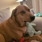 Sherry Abbott - @sherryabbott431 - Instagram