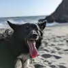 sherryabbott6 - @sherry.abbott2 - TikTok
