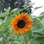 Sherry Abel - @she.rryabel1 - Instagram