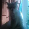 sherrylynnabraham - @sherrylynnabraham - TikTok