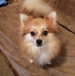 Abrahamson Sherry - Facebook