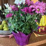 Sherry Hoge Abrahamson - @abrahamsonsherry - Instagram