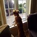 Sherry Alcorn - Facebook
