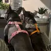 Sheri Alston - @sheri.alston - TikTok