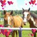 Sherri Angell - Facebook
