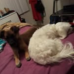 Sherry Antoine - @sherry.antoine.35 - Instagram