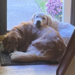 Sherry Armstrong - @sherry_armstrong21 - Instagram