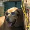 Sherri Arrington - @sherri.arrington6 - TikTok