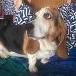 Sherry Arrington - @jdsallc - Instagram