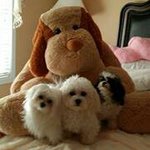 Sherry Register Artz - @beautiesbarebellaboutique - Instagram