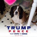 Sherry Asher - Facebook