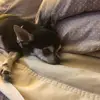 sherryasher - @sherryasher - TikTok