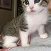 Sherry Atwell - Facebook