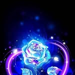 Sherry Averitt - @sherrypaveritt - Instagram