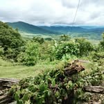Sherry Baldwin - @sherrybaldwin - Instagram
