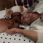 Sherry Bartlett - @farawaygirl6 - Instagram
