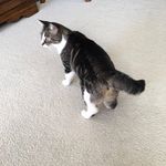 Sherry Bartlett - @sherrybart123 - Instagram