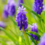 Sherry Bartlett - Facebook
