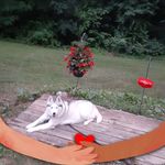 Sherry Barton - @sherrybarton8829 - Instagram