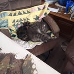 Sherry Bates - @sherrybillbates - Instagram