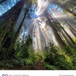 Sherry Bates - @sherry.bates65 - Instagram