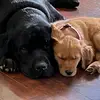 Sherry Bates - @sherry.m.b - TikTok