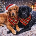 Sherry MacEachern Bates - @sherry.bates - Instagram