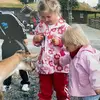 Sherry Bauer - @sherrybauer417 - TikTok