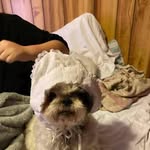 Sherry Baumgardner - @baumgardner1819 - Instagram