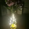 sherrybawn - @sherrybawn - TikTok