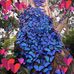 Sherrie Beach - Facebook
