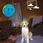 Sherry Beach-Garrison - @sherrybeachgarrison - Instagram