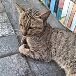 @_sherry_bean - Instagram