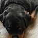 Sherry Bean - Facebook