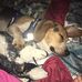 Sherry Lynn Bean - Facebook