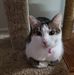 Sherry Beane - Facebook
