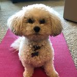 Sherry Becker - @sherryb0503 - Instagram