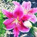 Sherry Beckwith - Facebook