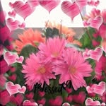 Sherry Roes - @sherrybeechy - Instagram