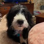 Sherrie Beeson Keller - @sherrie_beeson_keller00 - Instagram