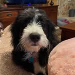 sherrie beeson keller - @sherrie_beeson_keller - Instagram