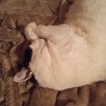 Sherry Beeson - @sherrybeesonmississippi - Instagram