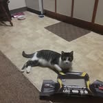 Sherry Bessett - @sherrybessett - Instagram