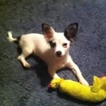 Sherry Brian - @sherrybesseed - Instagram
