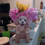 Sherry Bice - Facebook